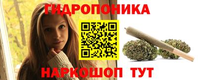 дмт Камышлов
