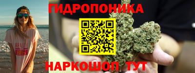 прущие крисы Канаш
