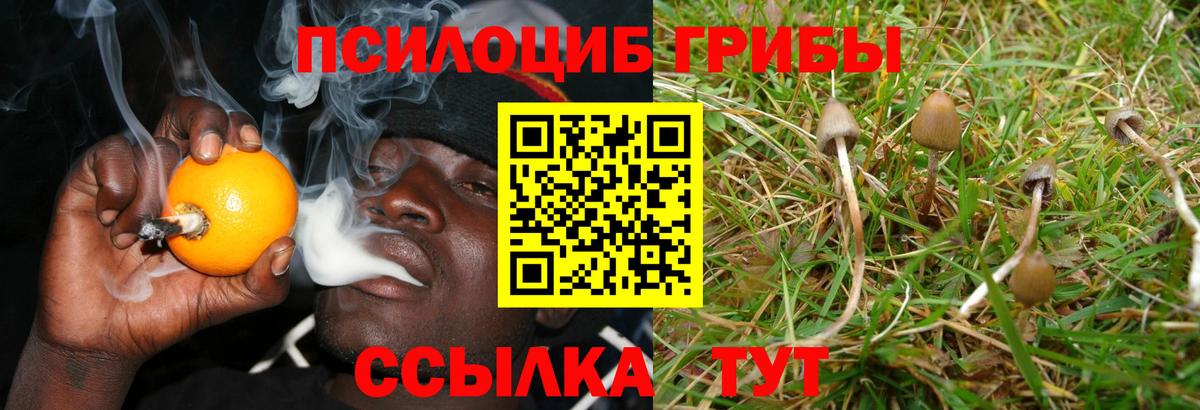Псилоцибиновые грибы GOLDEN TEACHER Кыштым